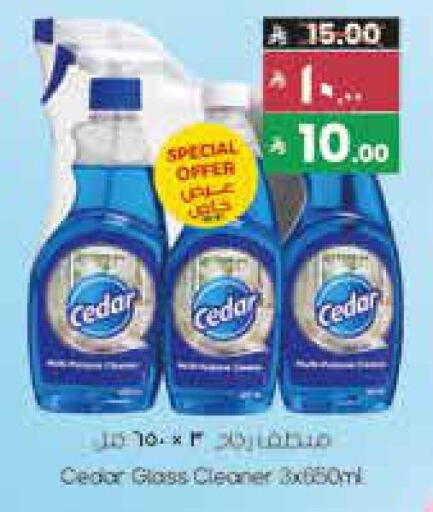 available at City Flower in KSA, Saudi Arabia, Saudi - Sakaka