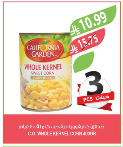 available at Farm  in KSA, Saudi Arabia, Saudi - Yanbu