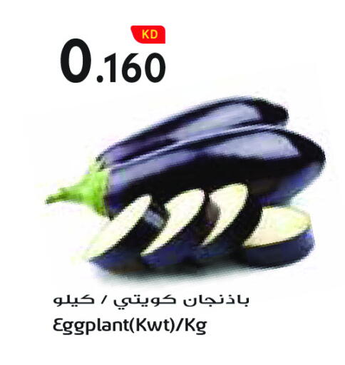 Eggplant available at Grand Costo in Kuwait - Ahmadi Governorate