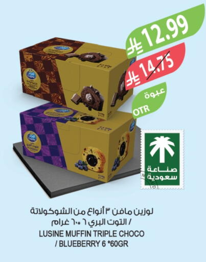 Blueberry BlueBerry available at المزرعة in مملكة العربية السعودية, السعودية, سعودية - الباحة