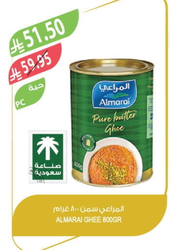 available at Farm  in KSA, Saudi Arabia, Saudi - Yanbu