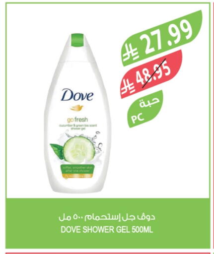 Cucumber available at المزرعة in مملكة العربية السعودية, السعودية, سعودية - الجبيل‎