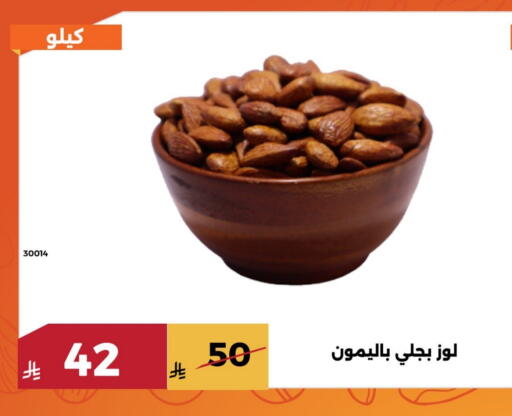 available at Forat Garden in KSA, Saudi Arabia, Saudi - Mecca