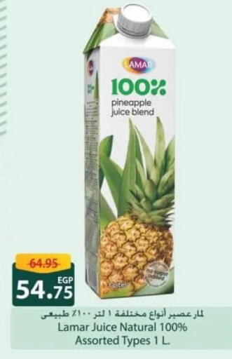 Pineapple available at سبينس in Egypt - القاهرة