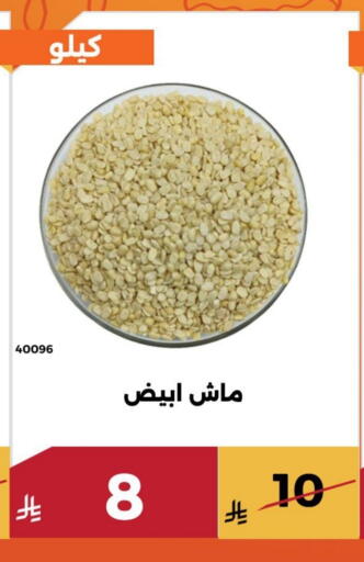 available at Forat Garden in KSA, Saudi Arabia, Saudi - Mecca