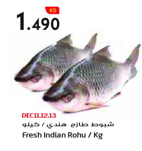 available at جراند كوستو in الكويت - محافظة الأحمدي