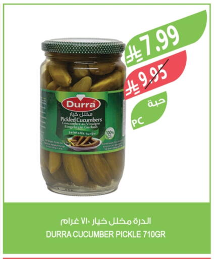Cucumber available at المزرعة in مملكة العربية السعودية, السعودية, سعودية - أبها