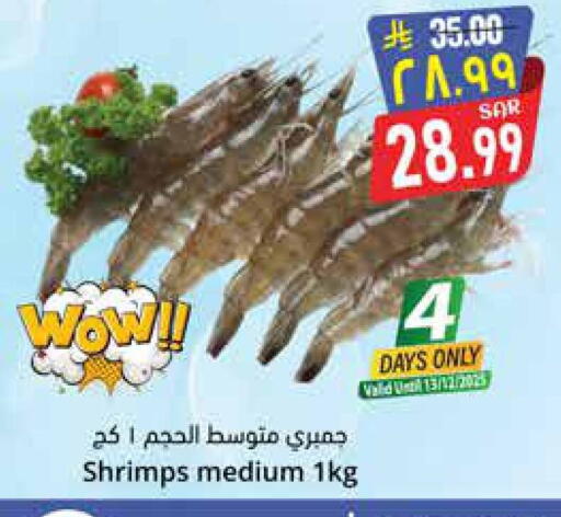 available at City Flower in KSA, Saudi Arabia, Saudi - Jubail