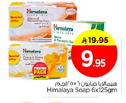 Turmeric available at نستو in مملكة العربية السعودية, السعودية, سعودية - الخبر‎