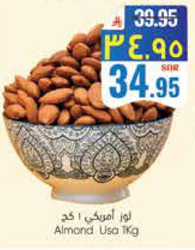 available at City Flower in KSA, Saudi Arabia, Saudi - Hail