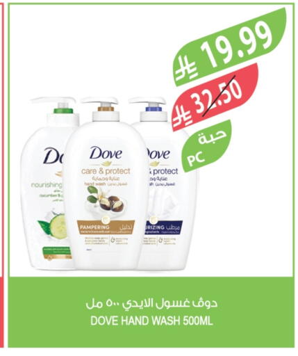 Cucumber available at المزرعة in مملكة العربية السعودية, السعودية, سعودية - الجبيل‎