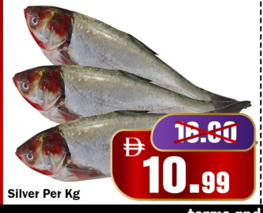 available at ROYAL GULF HYPERMARKET LLC in UAE - Abu Dhabi