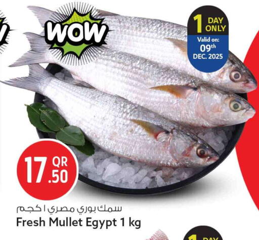 available at Safari Hypermarket in Qatar - Umm Salal