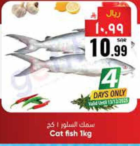 available at ستي فلاور in مملكة العربية السعودية, السعودية, سعودية - نجران