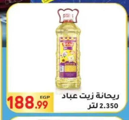 available at المحلاوي ماركت in Egypt - القاهرة