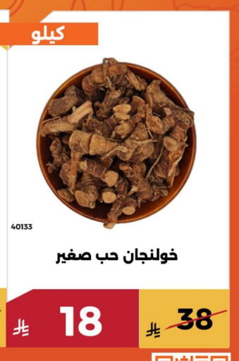 available at Forat Garden in KSA, Saudi Arabia, Saudi - Mecca