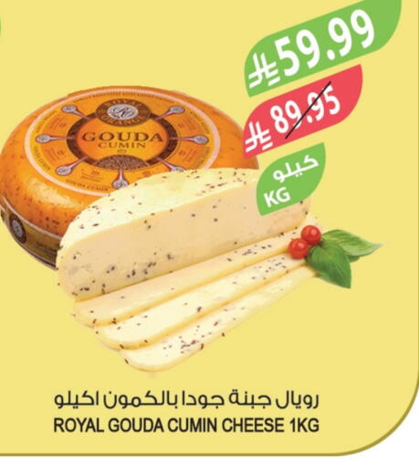 Cumin available at Farm  in KSA, Saudi Arabia, Saudi - Al Khobar