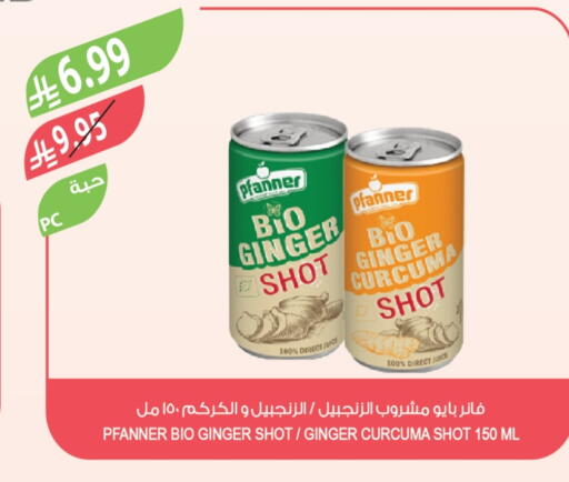 Ginger available at Farm  in KSA, Saudi Arabia, Saudi - Jubail