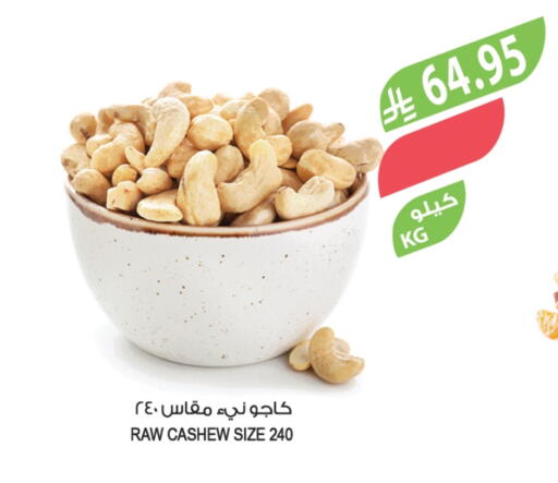 available at المزرعة in مملكة العربية السعودية, السعودية, سعودية - نجران