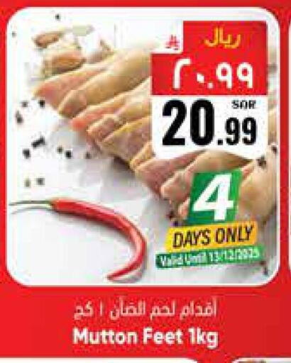 available at City Flower in KSA, Saudi Arabia, Saudi - Sakaka