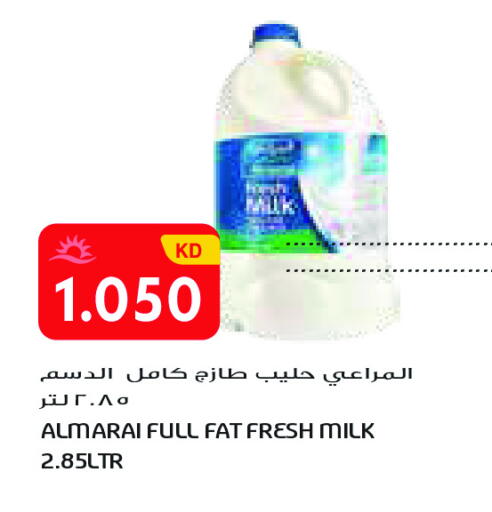 available at Grand Costo in Kuwait - Kuwait City