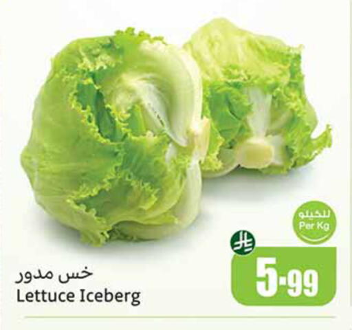 Lettuce available at Othaim Markets in KSA, Saudi Arabia, Saudi - Al-Kharj