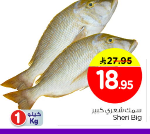 available at Nesto in KSA, Saudi Arabia, Saudi - Buraidah