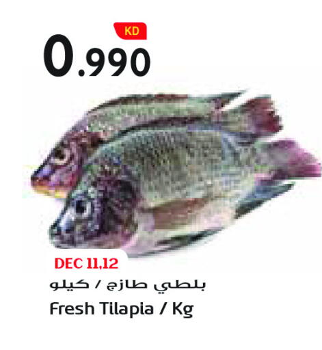 available at جراند كوستو in الكويت - محافظة الأحمدي