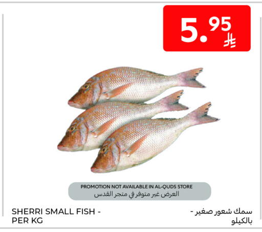 available at Carrefour in KSA, Saudi Arabia, Saudi - Sakaka