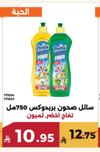 available at Forat Garden in KSA, Saudi Arabia, Saudi - Mecca