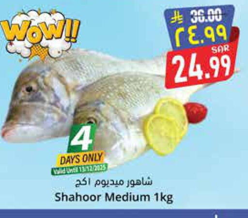 available at ستي فلاور in مملكة العربية السعودية, السعودية, سعودية - نجران