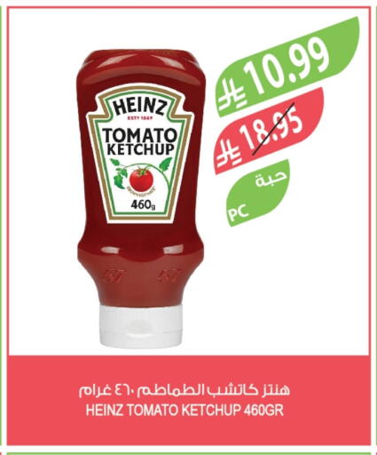 Tomato available at Farm  in KSA, Saudi Arabia, Saudi - Saihat