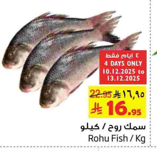 available at Layan Hyper in KSA, Saudi Arabia, Saudi - Al Khobar