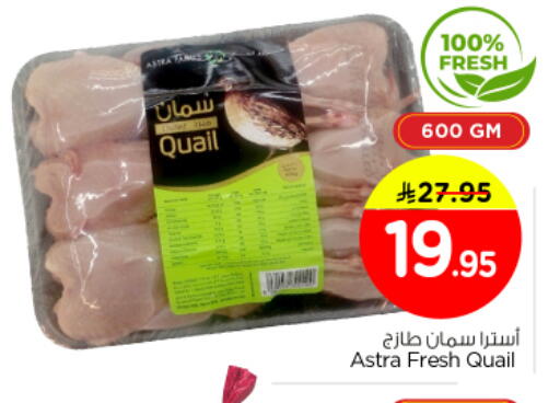available at Nesto in KSA, Saudi Arabia, Saudi - Buraidah