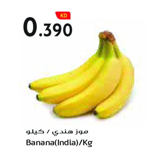 Banana from India available at Grand Costo in Kuwait - Ahmadi Governorate