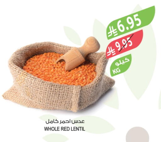 available at المزرعة in مملكة العربية السعودية, السعودية, سعودية - الأحساء‎
