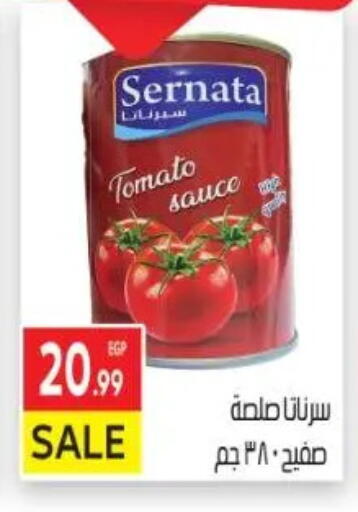 Tomato available at El Mahallawy Market  in Egypt - Cairo
