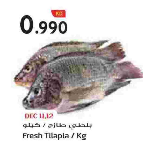 available at Grand Hyper in Kuwait - Ahmadi Governorate