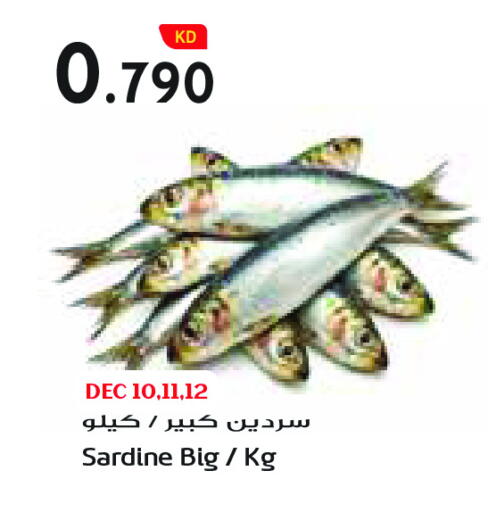 available at جراند كوستو in الكويت - محافظة الأحمدي