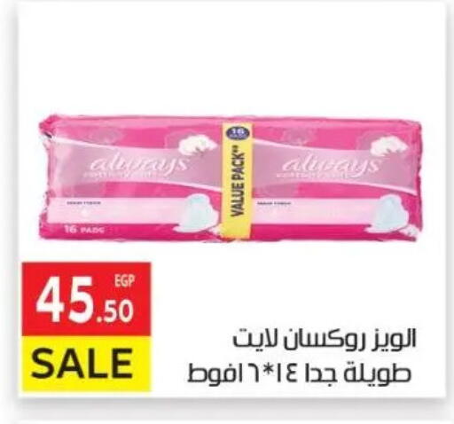 available at El Mahallawy Market  in Egypt - Cairo