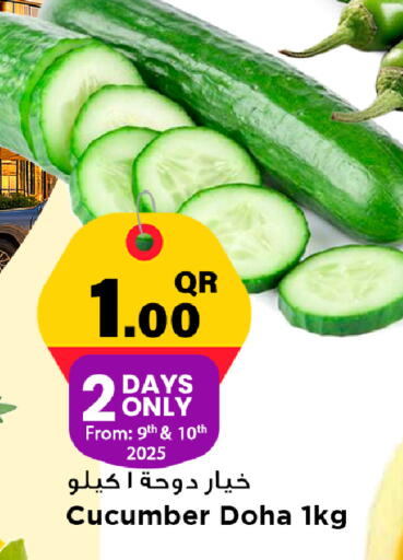 Cucumber from Qatar available at مرزا هايبرماركت in قطر - الوكرة