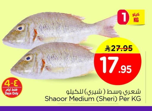 available at نستو in مملكة العربية السعودية, السعودية, سعودية - الأحساء‎