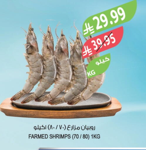 available at Farm  in KSA, Saudi Arabia, Saudi - Sakaka