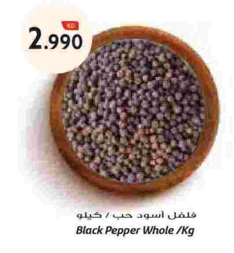Pepper available at Grand Hyper in Kuwait - Kuwait City