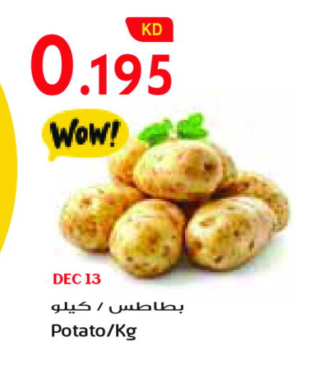 Potato available at جراند كوستو in الكويت - محافظة الأحمدي