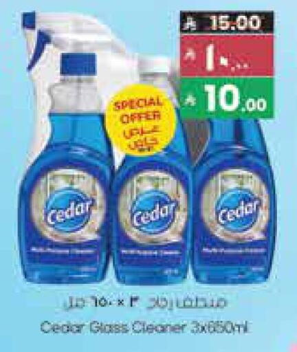 available at City Flower in KSA, Saudi Arabia, Saudi - Hail