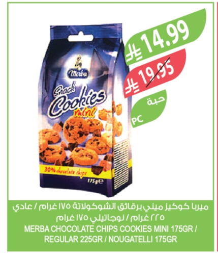 Mint available at Farm  in KSA, Saudi Arabia, Saudi - Najran