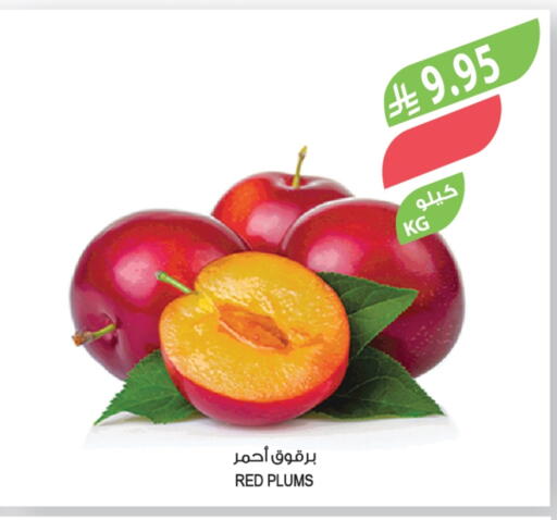 Plums available at Farm  in KSA, Saudi Arabia, Saudi - Abha