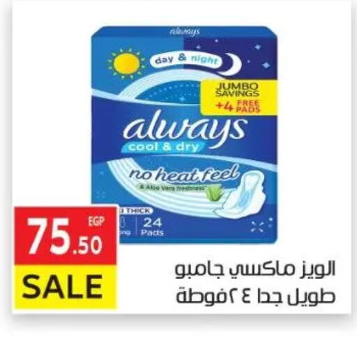 available at El Mahallawy Market  in Egypt - Cairo