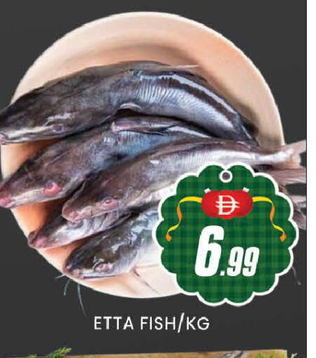 available at المدينة in الإمارات العربية المتحدة , الامارات - دبي